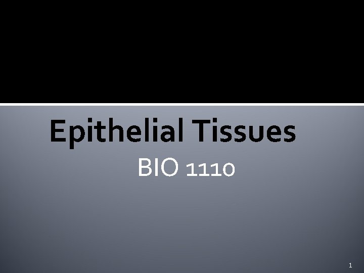 Epithelial Tissues BIO 1110 1 