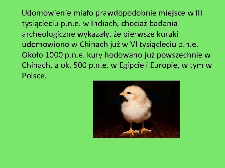 Udomowienie miało prawdopodobnie miejsce w III tysiącleciu p. n. e. w Indiach, chociaż badania