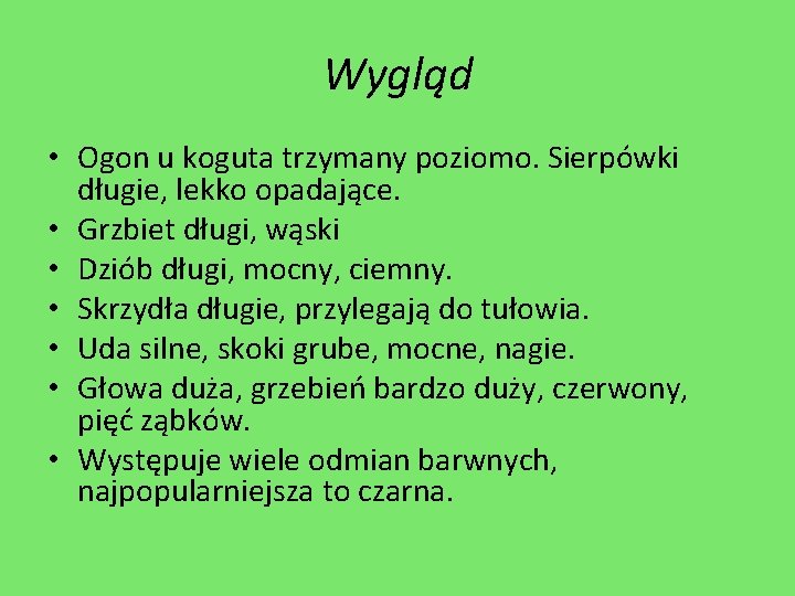 Wygląd • Ogon u koguta trzymany poziomo. Sierpówki długie, lekko opadające. • Grzbiet długi,