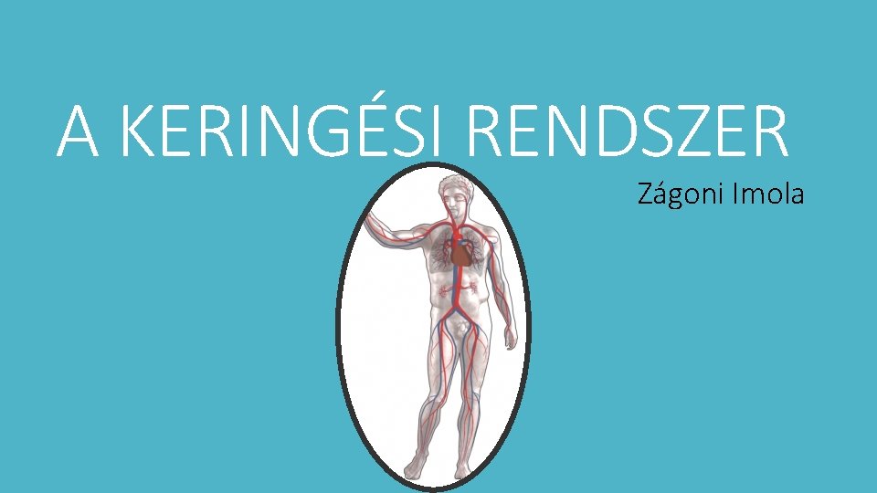 A KERINGÉSI RENDSZER Zágoni Imola 