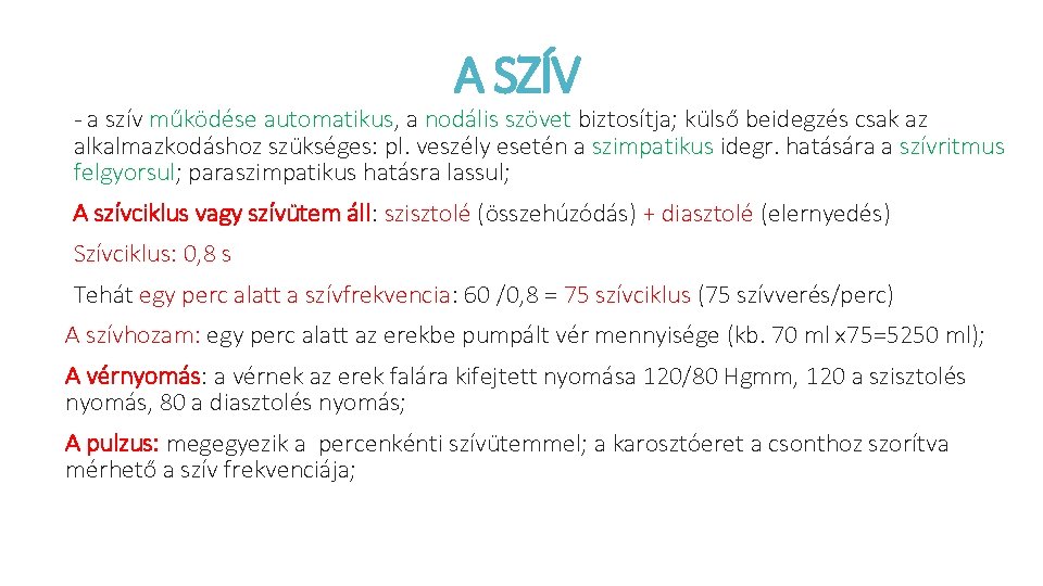 A SZÍV - a szív működése automatikus, a nodális szövet biztosítja; külső beidegzés csak