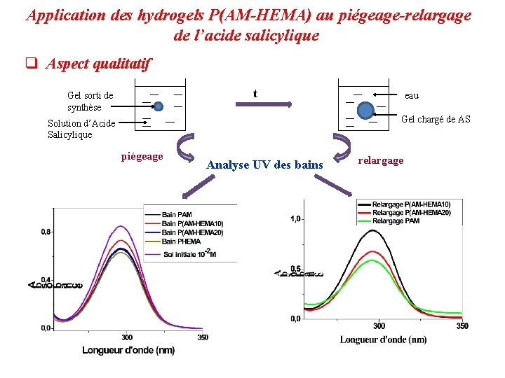 Application des hydrogels P(AM-HEMA) au piégeage-relargage de l’acide salicylique q Aspect qualitatif t Gel