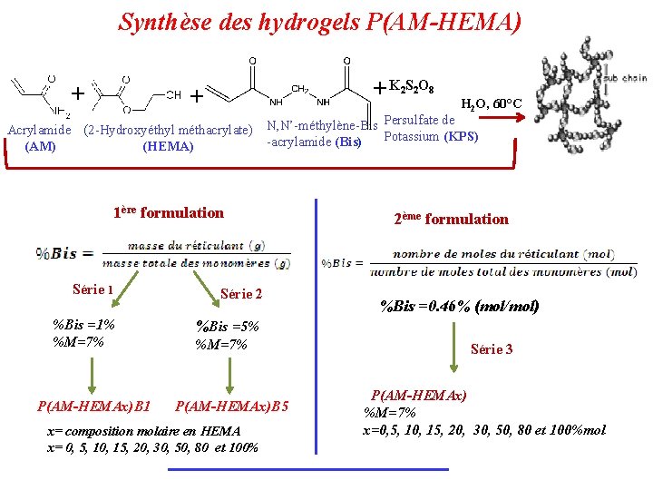 Synthèse des hydrogels P(AM-HEMA) + K 2 S 2 O 8 + + Acrylamide