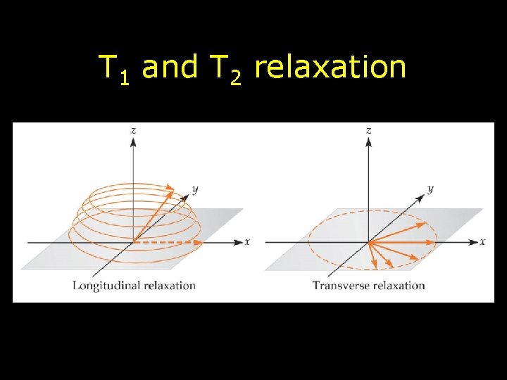 T 1 and T 2 relaxation 