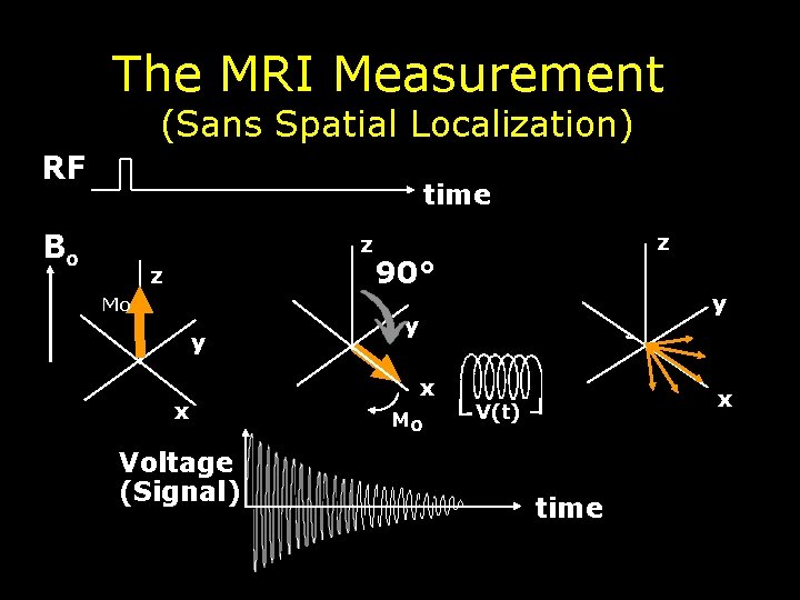 The MRI Measurement (Sans Spatial Localization) RF time Bo z z Mo y x