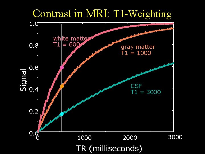 Contrast in MRI: T 1 -Weighting 1. 0 Signal 0. 8 white matter T