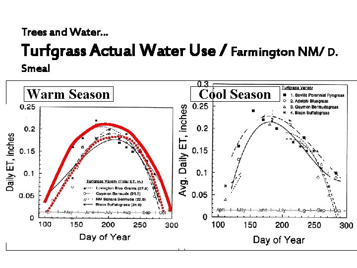 Trees and Water… Turfgrass Actual Water Use / Farmington NM/ D. Smeal Warm Season