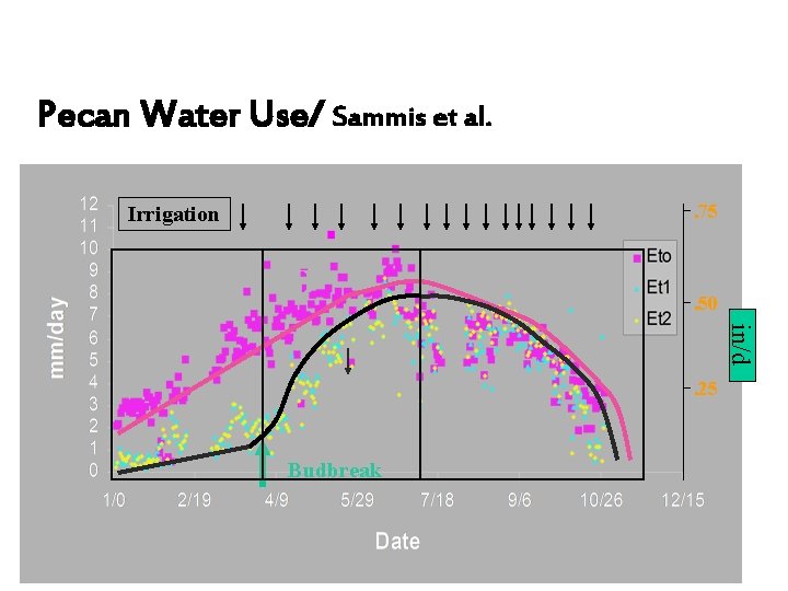 Pecan Water Use/ Sammis et al. . 75 Irrigation A B C . 50