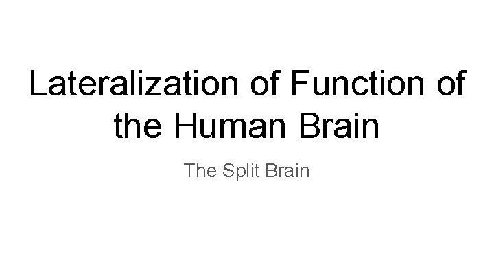 Lateralization of Function of the Human Brain The Split Brain 