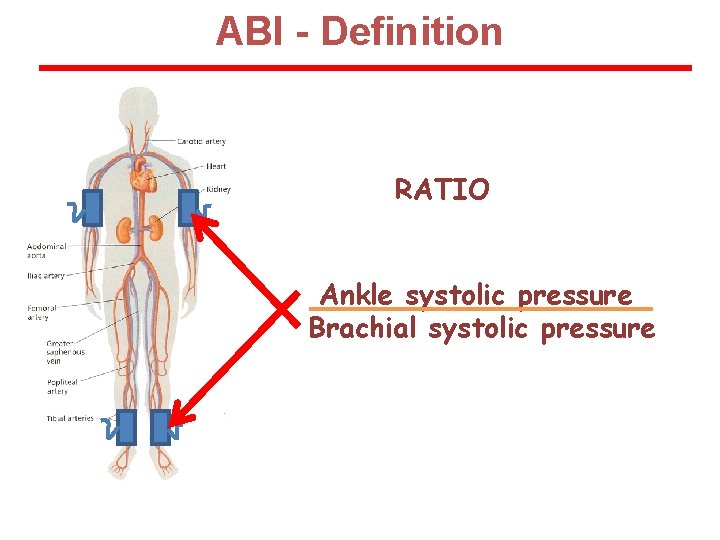 ABI - Definition RATIO Ankle systolic pressure Brachial systolic pressure 