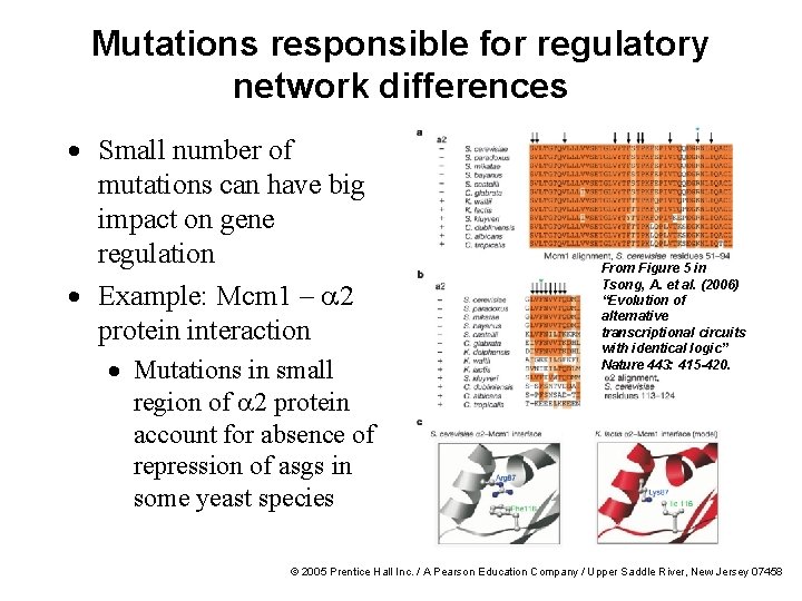 Mutations responsible for regulatory network differences · Small number of mutations can have big