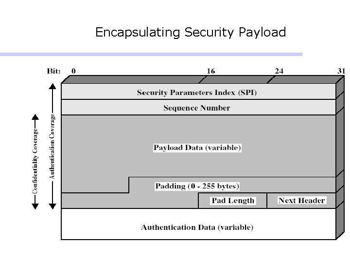 Encapsulating Security Payload Encapsulating Security Payload