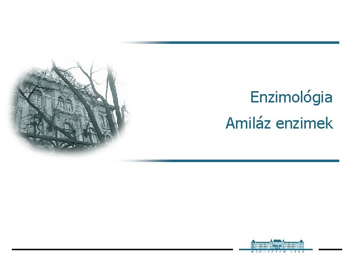 Enzimológia Amiláz enzimek 