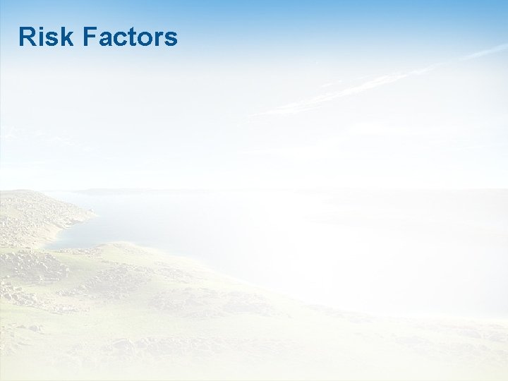 Risk Factors 