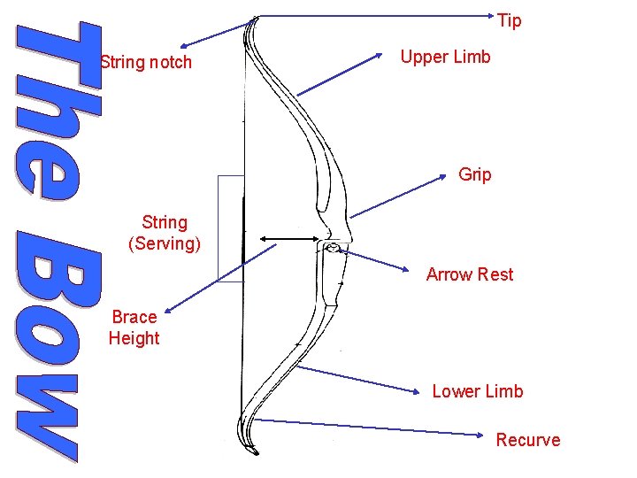 Tip String notch Upper Limb Grip String (Serving) Arrow Rest Brace Height Lower Limb