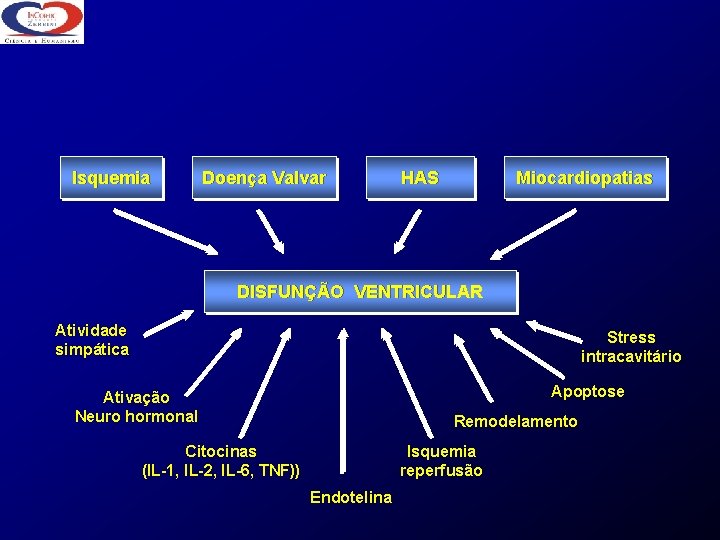 Isquemia Doença Valvar HAS Miocardiopatias DISFUNÇÃO VENTRICULAR Atividade simpática Stress intracavitário Apoptose Ativação Neuro