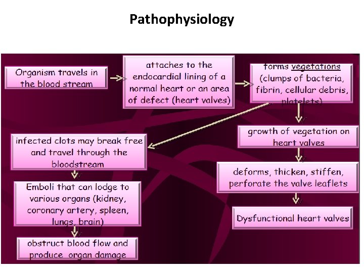 Pathophysiology 