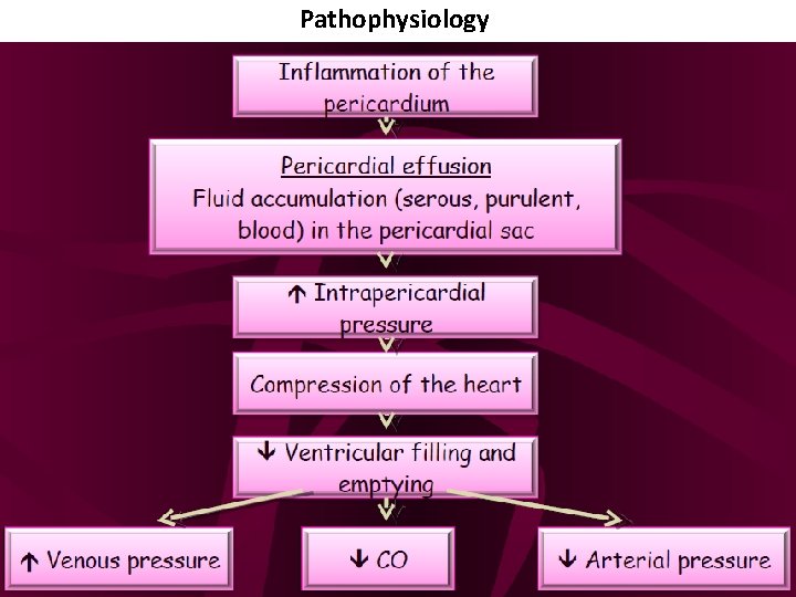 Pathophysiology 