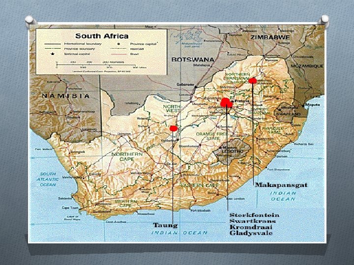 Australopithecus Who were the Australopithecus O 1 st