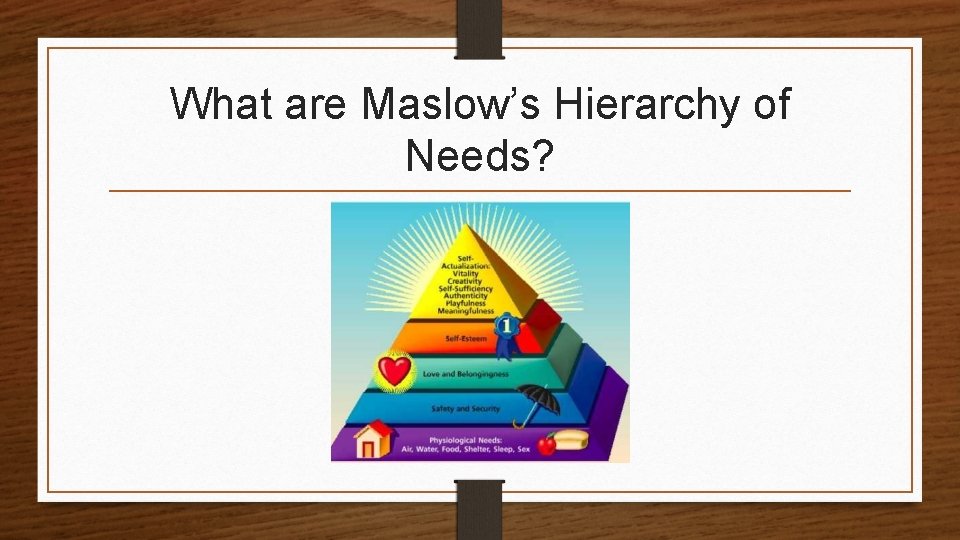 What are Maslow’s Hierarchy of Needs? 