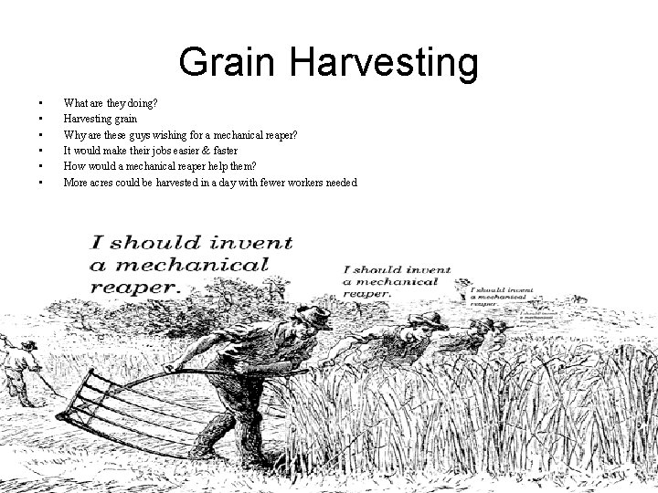 Grain Harvesting • • • What are they doing? Harvesting grain Why are these