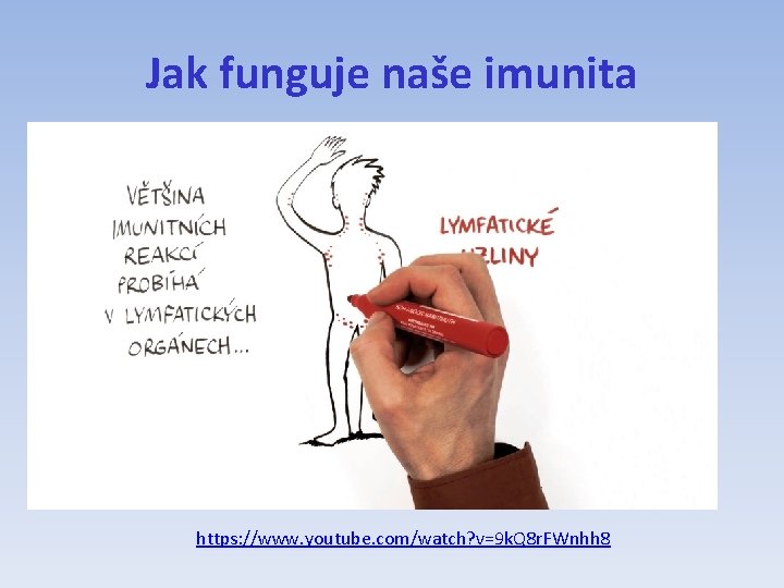 Jak funguje naše imunita https: //www. youtube. com/watch? v=9 k. Q 8 r. FWnhh