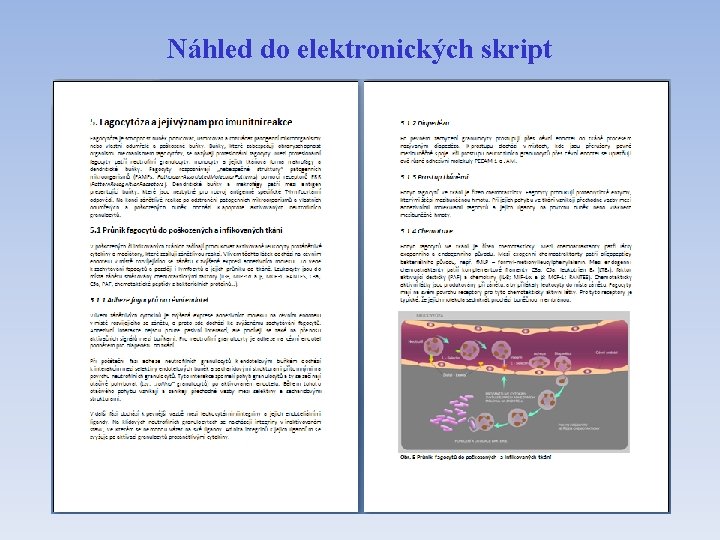 Náhled do elektronických skript 