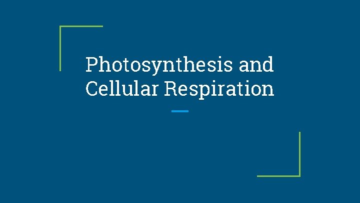 Photosynthesis and Cellular Respiration 
