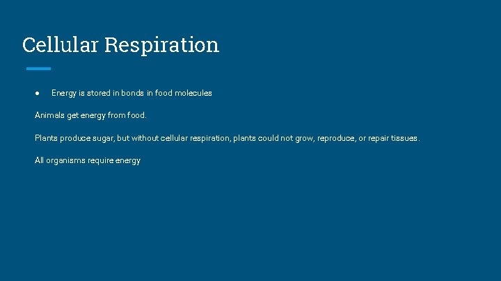 Cellular Respiration ● Energy is stored in bonds in food molecules Animals get energy