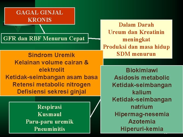 GAGAL GINJAL KRONIS GFR dan RBF Menurun Cepat Sindrom Uremik Kelainan volume cairan &