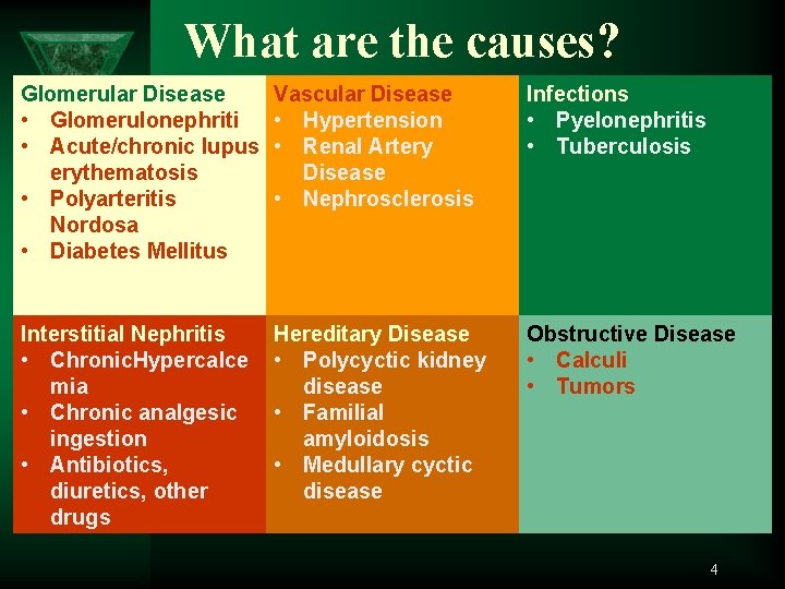 What are the causes? Glomerular Disease • Glomerulonephriti • Acute/chronic lupus erythematosis • Polyarteritis