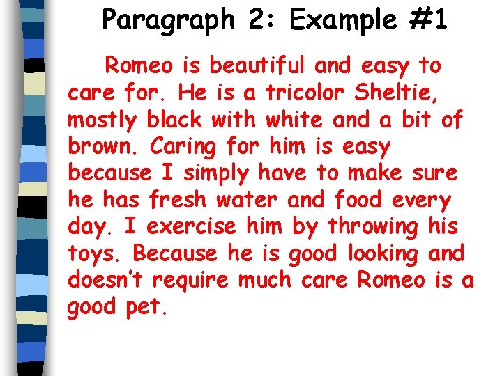 Paragraph 2: Example #1 Romeo is beautiful and easy to care for. He is