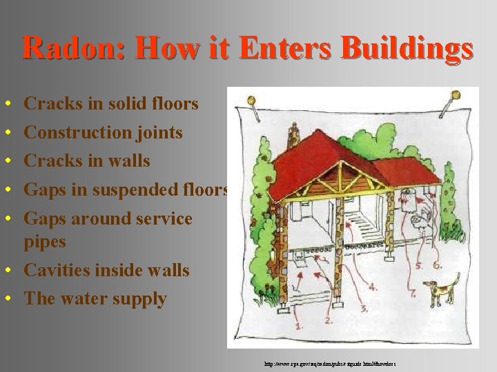 Radon: How it Enters Buildings • • • Cracks in solid floors Construction joints