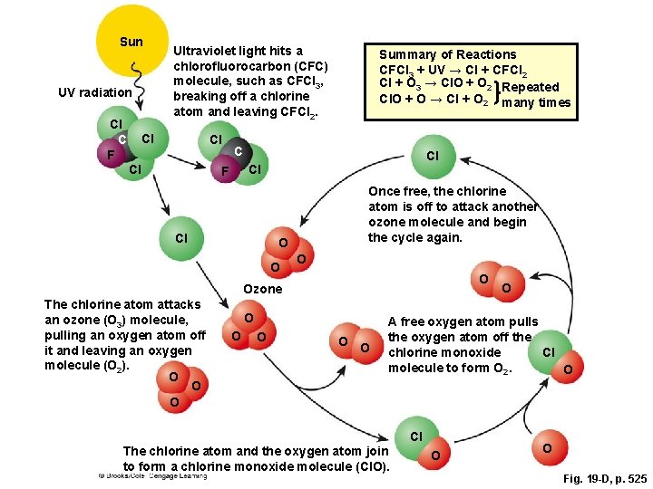 Sun UV radiation Cl C F Ultraviolet light hits a chlorofluorocarbon (CFC) molecule, such