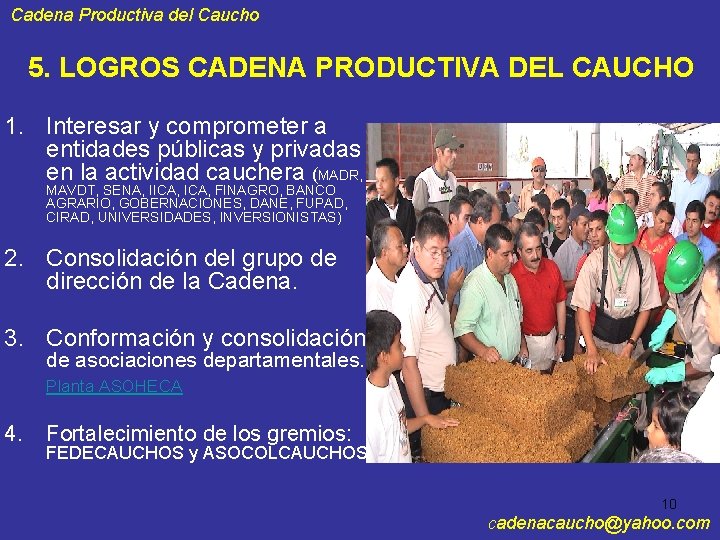 Cadena Productiva del Caucho 5. LOGROS CADENA PRODUCTIVA DEL CAUCHO 1. Interesar y comprometer