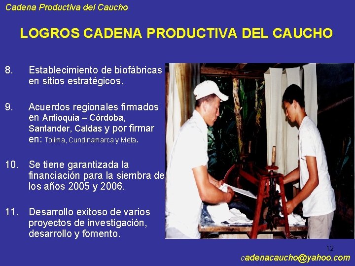Cadena Productiva del Caucho LOGROS CADENA PRODUCTIVA DEL CAUCHO 8. Establecimiento de biofábricas en