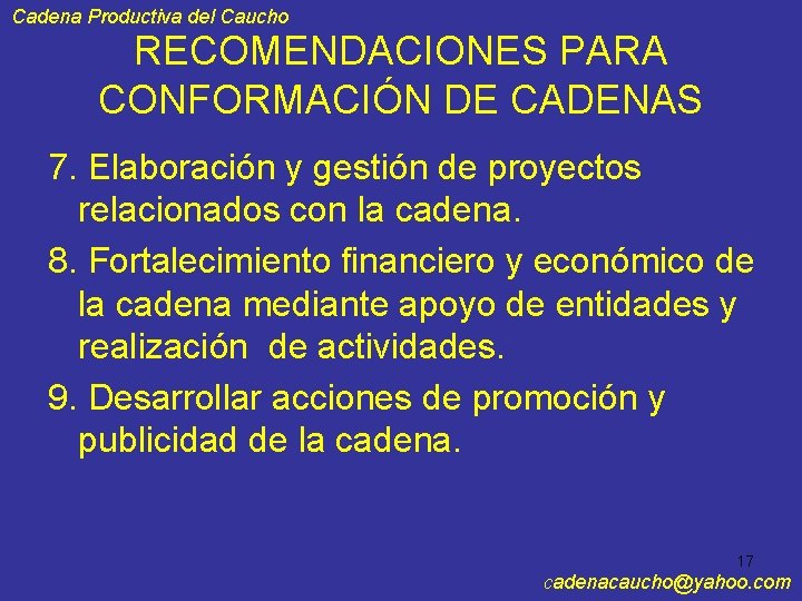Cadena Productiva del Caucho RECOMENDACIONES PARA CONFORMACIÓN DE CADENAS 7. Elaboración y gestión de