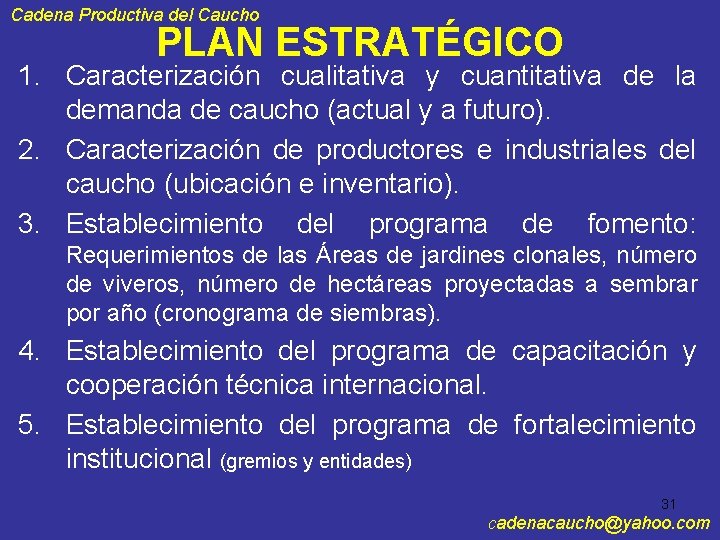 Cadena Productiva del Caucho PLAN ESTRATÉGICO 1. Caracterización cualitativa y cuantitativa de la demanda