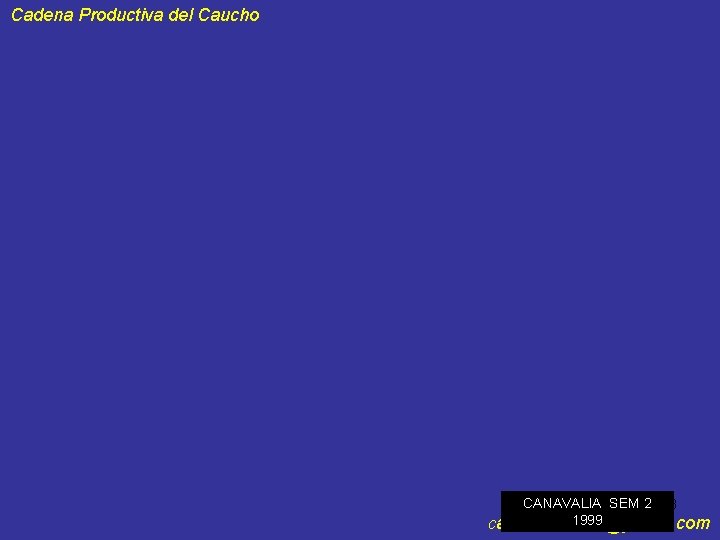 Cadena Productiva del Caucho CANAVALIA SEM 2 58 1999 cadenacaucho@yahoo. com 