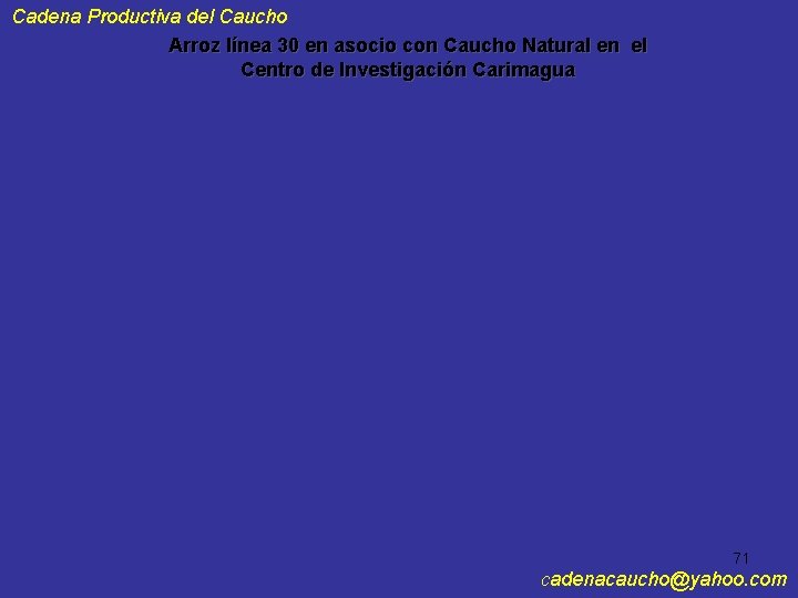 Cadena Productiva del Caucho Arroz línea 30 en asocio con Caucho Natural en el