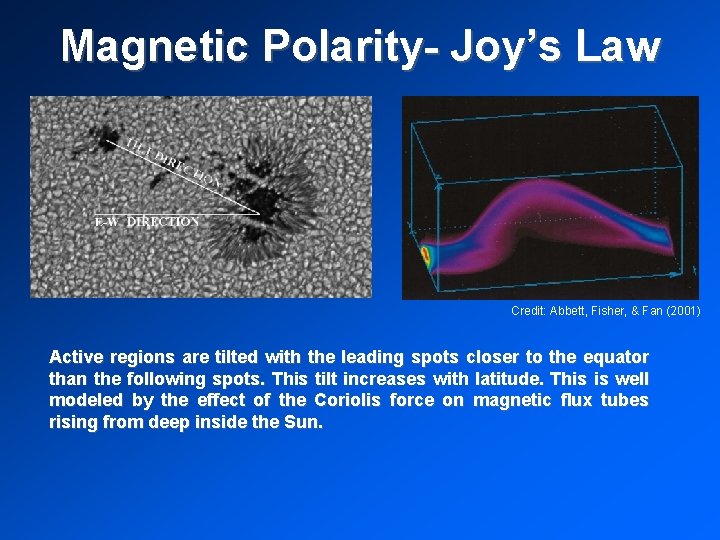 Magnetic Polarity- Joy’s Law Credit: Abbett, Fisher, & Fan (2001) Active regions are tilted
