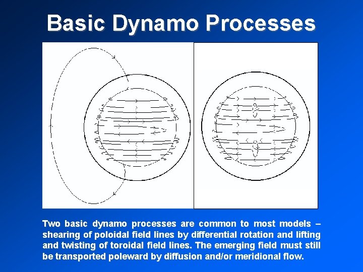 Basic Dynamo Processes Two basic dynamo processes are common to most models – shearing