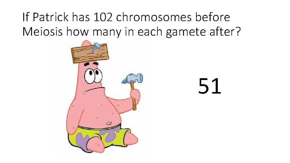 If Patrick has 102 chromosomes before Meiosis how many in each gamete after? 51