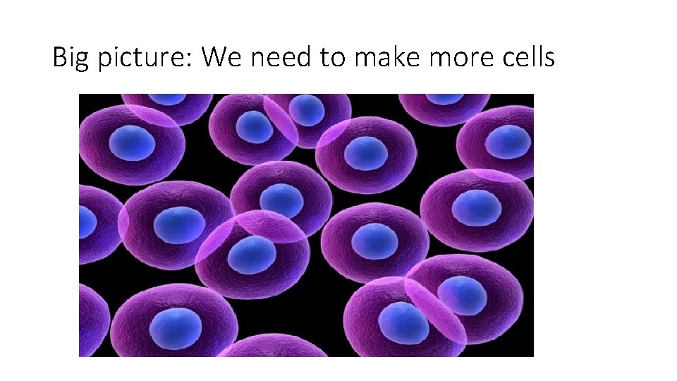 Big picture: We need to make more cells 