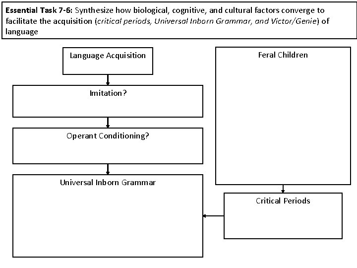 Essential Task 7 -6: Synthesize how biological, cognitive, and cultural factors converge to facilitate