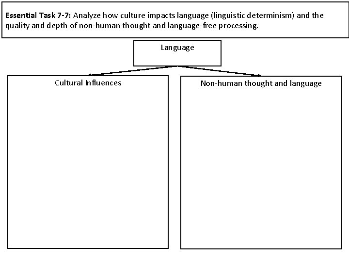 Essential Task 7 -7: Analyze how culture impacts language (linguistic determinism) and the quality