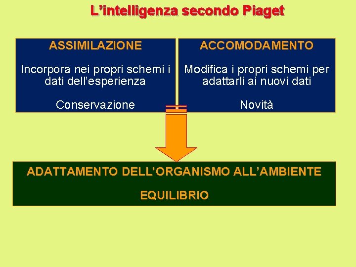L’intelligenza secondo Piaget ASSIMILAZIONE ACCOMODAMENTO Incorpora nei propri schemi i dati dell’esperienza Modifica i