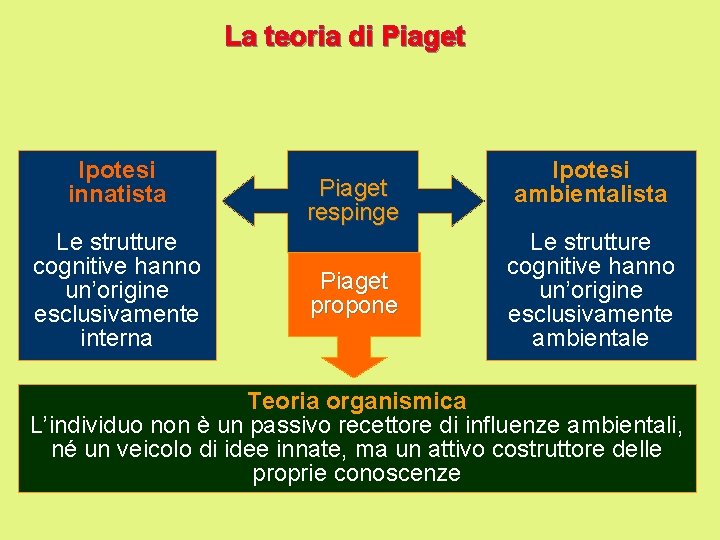 La teoria di Piaget Ipotesi innatista Le strutture cognitive hanno un’origine esclusivamente interna Piaget