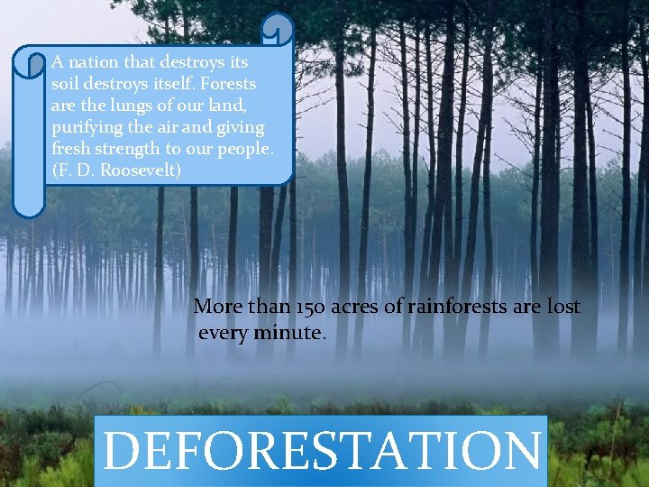 A nation that destroys its soil destroys itself. Forests are the lungs of our