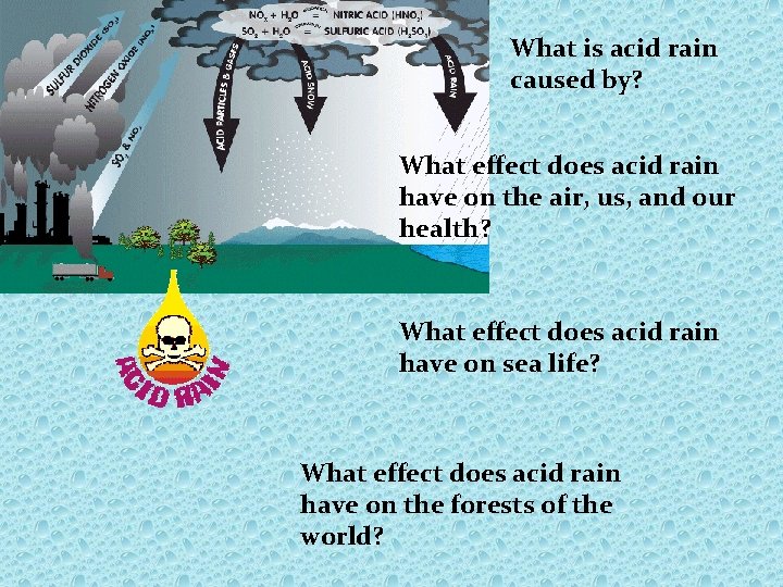 What is acid rain caused by? What effect does acid rain have on the
